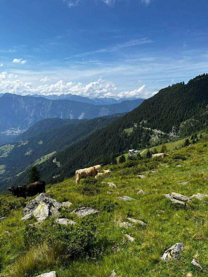 Die Acherberg Alm Oetz Εξωτερικό φωτογραφία